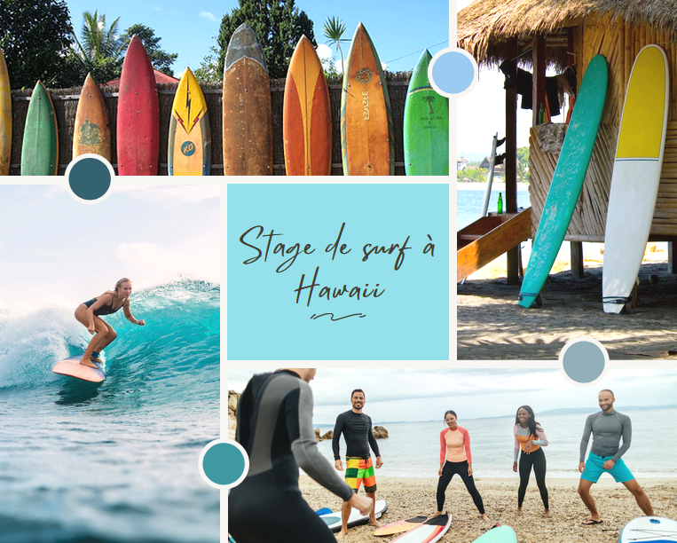 Surf Hawaii new board